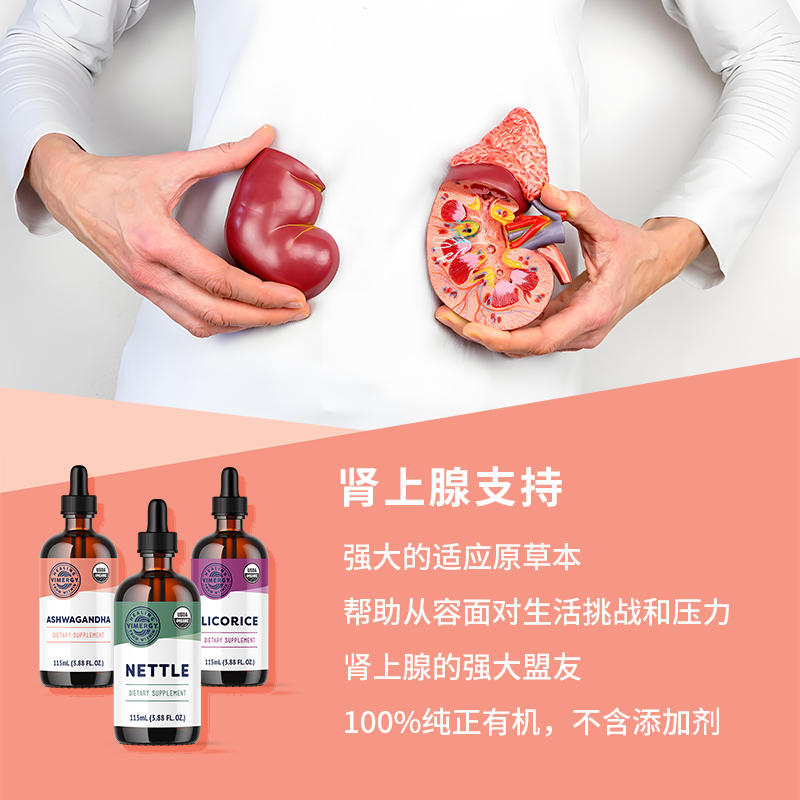 adrenal support