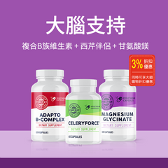 Brain Cognitive Support