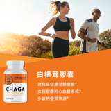 Chaga Capsules