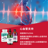 Cardiovascular Support