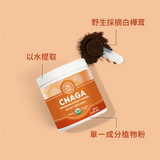 Chaga Powder