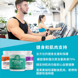 Muscle Fitness Support