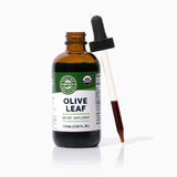 Olive Leaf
