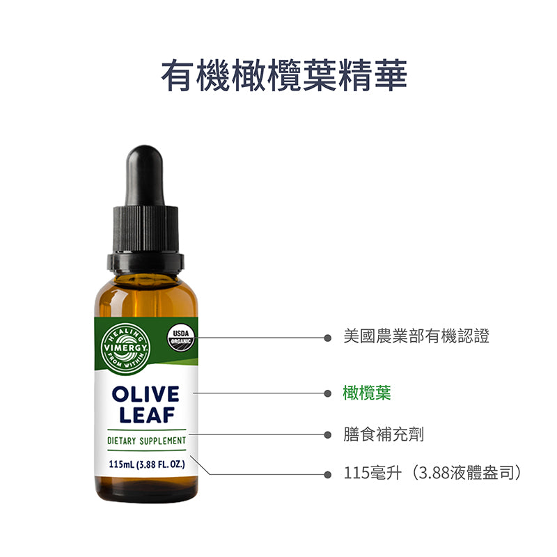 Olive Leaf